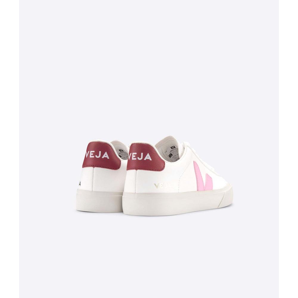 Veja CAMPO CHROMEFREE Men's Low Tops Sneakers White/Pink | NZ 293YXF